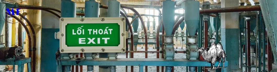 Durable LED Explosion Proof Emergency Light Evacuation Exit Sign For Workplace Factory 9