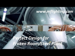 টেম্পারড গ্লাস ডিফিউজার সহ 600mm LED ট্রাই প্রুফ ফিক্সচার 25W