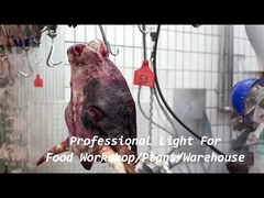 1200mm IP68 ওয়াটারপ্রুফ ট্রাই প্রুফ LED লাইট চেইন বন্ধনী মাউন্ট করা হয়েছে