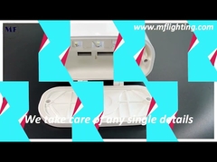 IP65 ট্রিপ্রুফ LED লিনিয়ার লাইট খাদ্য কারখানার জন্য অস্পষ্ট