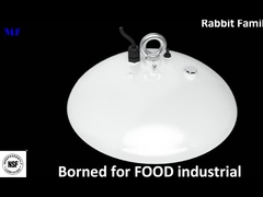 নেতৃত্বে উচ্চ বে আলো