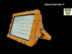 IP66 IP67 LED এক্সপ্লোশন প্রুফ স্ট্রিট লাইট উইথ ডাস্টপ্রুফ EX IECEX IK10 30W 50W 60W 80W 100W