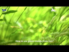 এম এফ সোলার স্ট্রিট লাইট পিগন ৩ ভিডিও