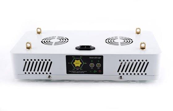 205W Full Spectrum LED Grow Lightst Replace HPS Directly ,  Larger Yield Indoor Plant Lights