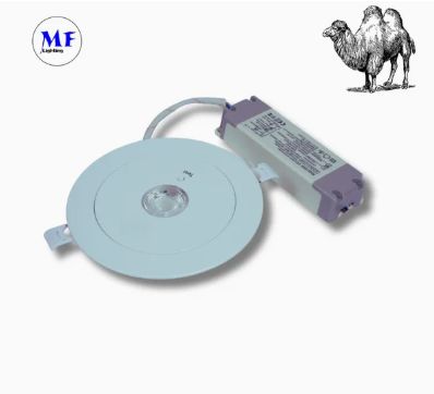 Down Light Panic Emergency Escape Exit Sign Light 3h IP65 Battery Shopping Workshop Mall