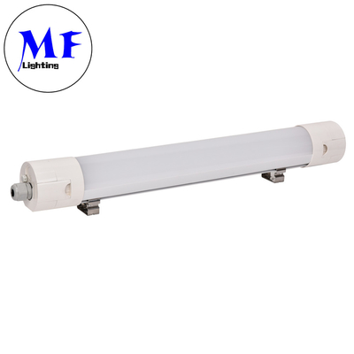High-Performance LED Tri Proof Light With Multiple CCT Options For Customized Solutions