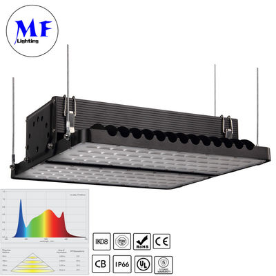 High Efficiency LED Grow Light