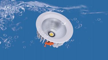Bathroom 50W 8 Inch Dimmable LED Down Lights 100Lumen / W CRI >85 UGR <19