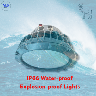 240W LED Explosion Proof Flood Light  Atex Certified IP66 Ik08 Durable Round Robust 240W LNG Oil Gas Industrial Marine Platform Mining Chemical Industrial