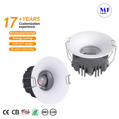 17+ Years Factory IP65 20W 25W 30W Smart Control Recessed Public Mall Hospital Commercial Residential Home Hotel Spot Lamp Short Feet LED Down Light