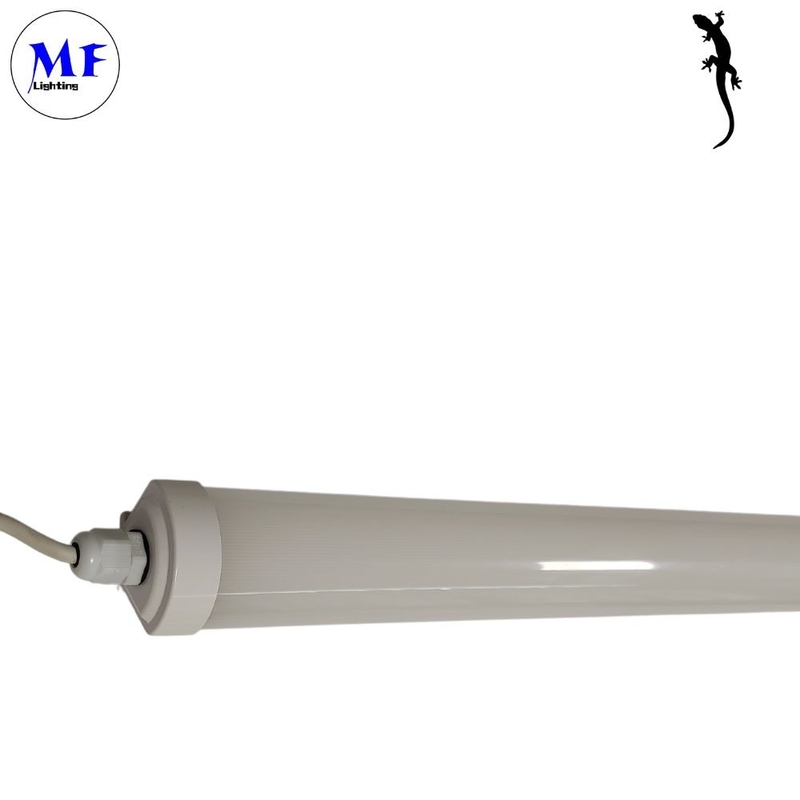 50W Durable LED Tri-Proof Light IP66 3000K-6000K High Luminous Efficiency for Industrial and Commercial Applications