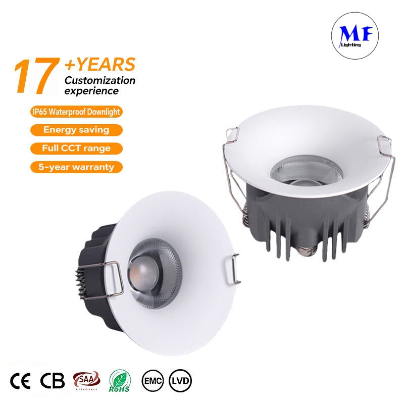 17+ Years Factory IP65 20W 25W 30W Smart Control Recessed Public Mall Hospital Commercial Residential Home Hotel Spot Lamp Short Feet LED Down Light
