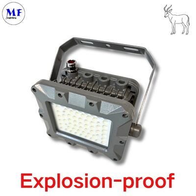 IP66 50W 75W 100W 150W 200W 240W 300W 350W 400W ইটন তেল মিংিং অফশোর জোন বিস্ফোরণ প্রতিরোধী লাইটিং এলইডি বিস্ফোরণ প্রতিরোধী এটেক্স বন্যা আলো