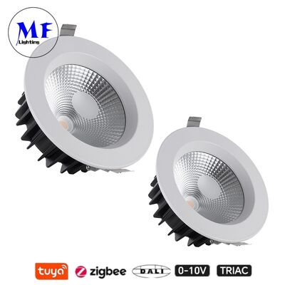 ৩৫W ১০০lm/W LED স্পট ডাউন লাইট অ্যান্টি-গ্লেয়ার CCT অ্যাডজাস্টেবল CRI90 ট্রায়াক /০-১০V/ডালি-২/টুয়া জিগবি ডিম্মেবল বিম অ্যাঙ্গেল ৬০° কমার্শিয়াল এবং রেসিডেন্সিয়াল প্লেসের জন্য রিসেসড COB