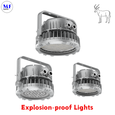 কারখানার দাম 400W বিস্ফোরণপ্রতিরোধী বন্যা আলো আইইসিএক্স এটিএক্স ডাই-কাস্টিং অ্যালুমিনিয়াম আইপি 66 আইকে 08 বিম অ্যাঙ্গেল ঐচ্ছিক তেল গ্যাস রাসায়নিক বিপজ্জনক শিল্প এলইডি বিস্ফোরণপ্রতিরোধী আলো