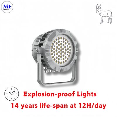 অ্যালুমিনিয়াম ATEX IECES EX 50/75/100/150/200/240/300/400W হাইবে IP66 IK08 টেম্পার্ড গ্লাস তেল গ্যাস মাইনিং বিস্ফোরণরোধী বিস্ফোরণপ্রুফ জল LED হাইবে লাইট